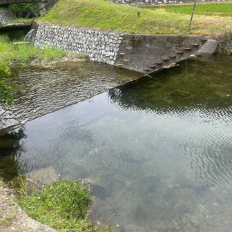 水辺は癒し