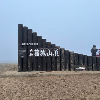 360度ガスガスで初日の出は諦め😂