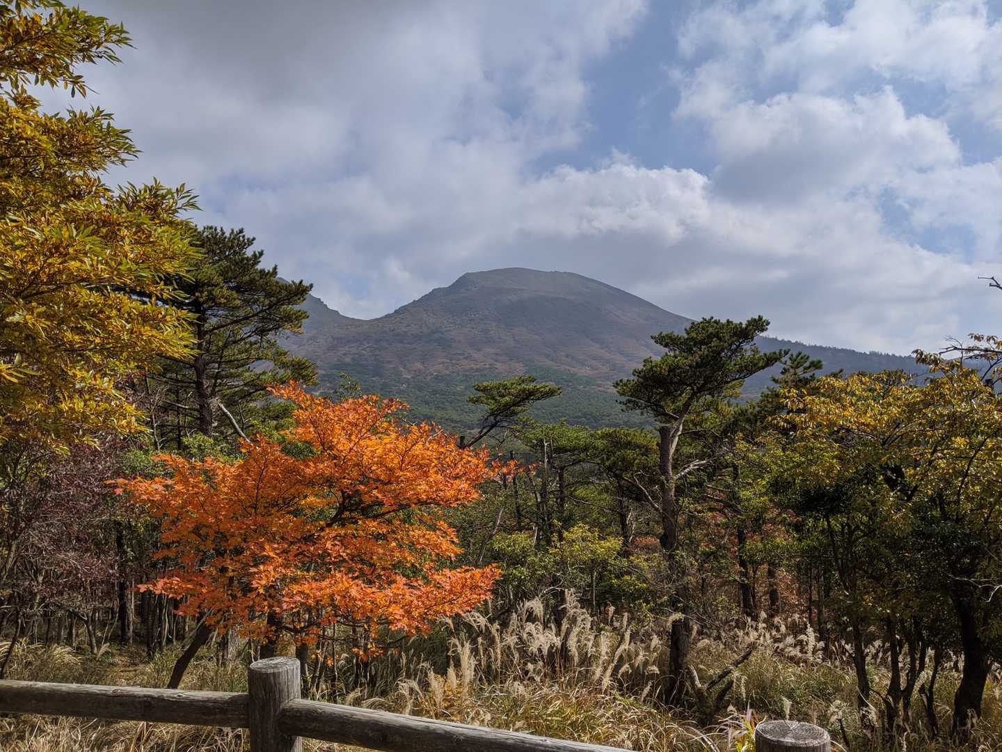 白鳥山-硫黄山北登山口 周回コースの写真