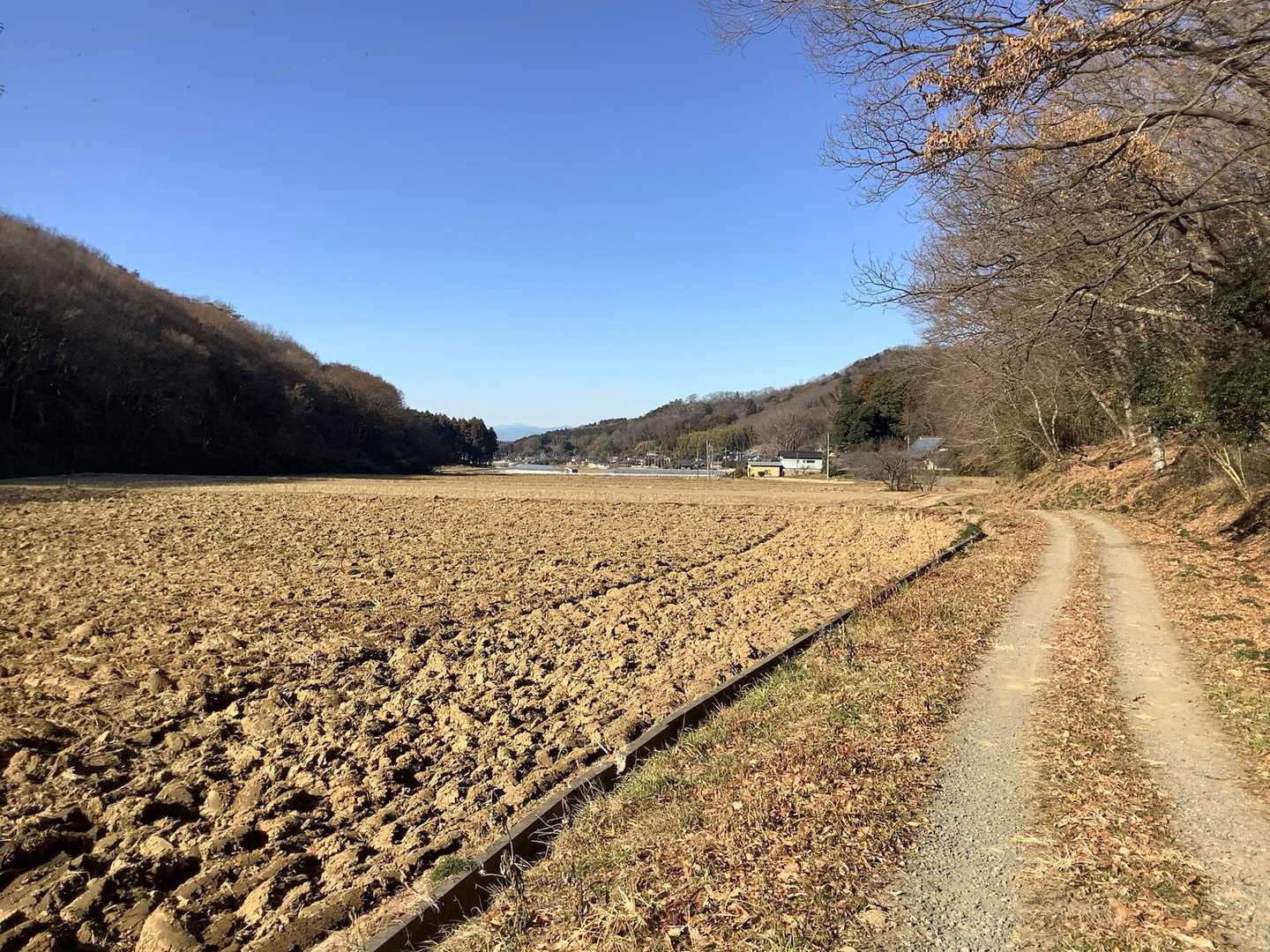 大政山への道を振り返った時の田園風景