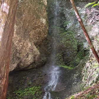 清滝

小屋を少し登ったところ