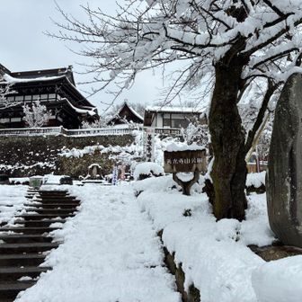 まずは善光寺山を目指します。