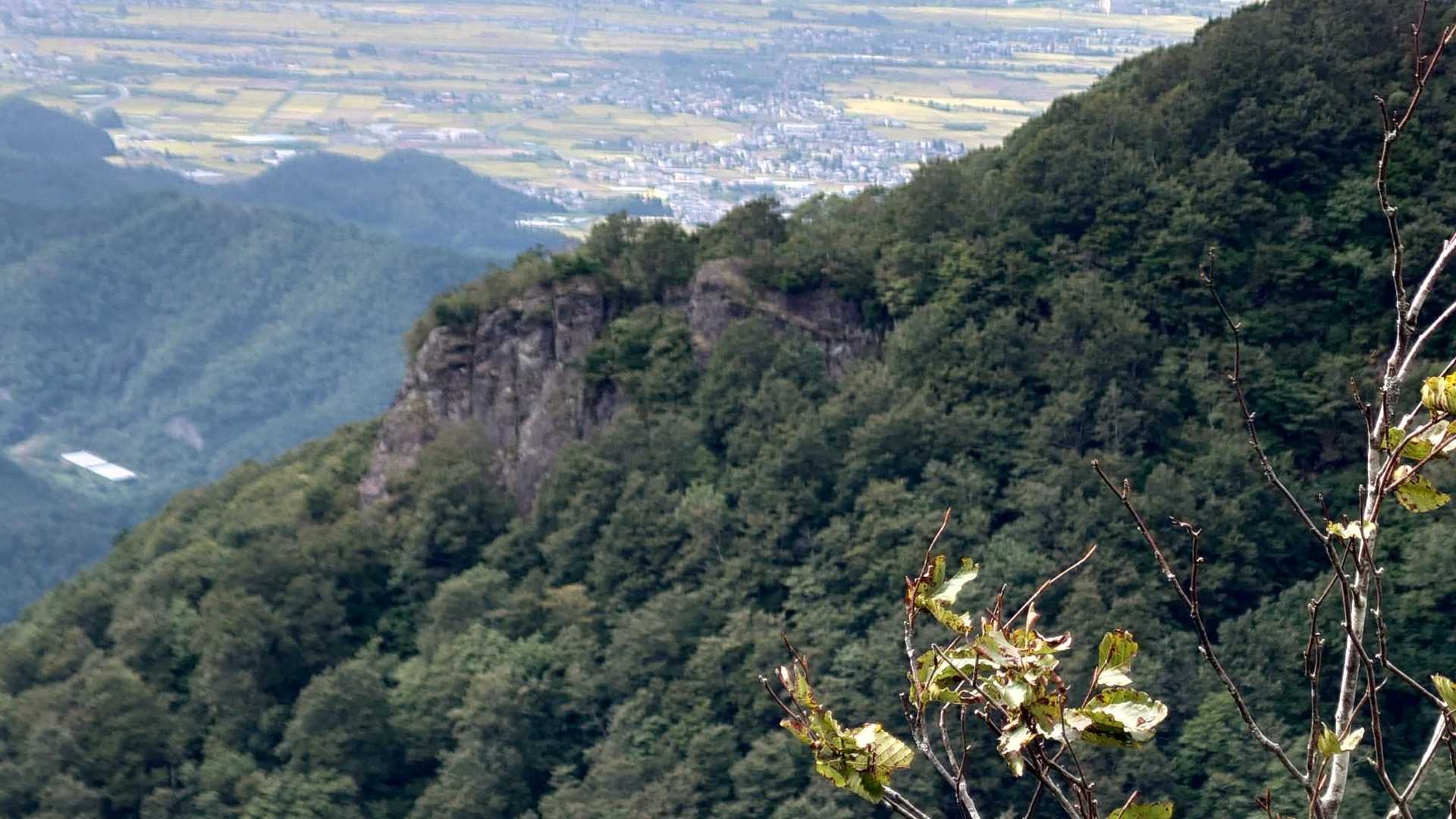 鳩峰峠-龍ヶ岳 往復コースの写真