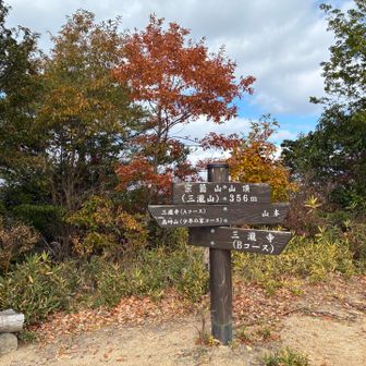 ひどい黄砂が予報されてましたが大丈夫でした〜