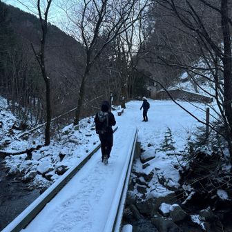 だいぶ降りてきた