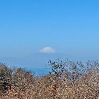 今にも消えそうな淡さの富士山🗻