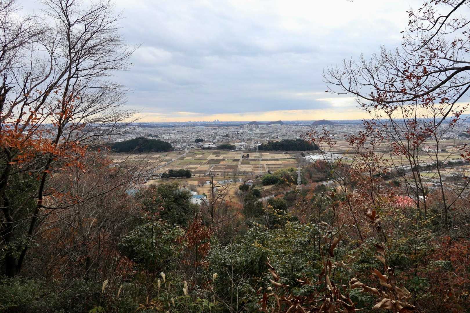 中腹からの景色