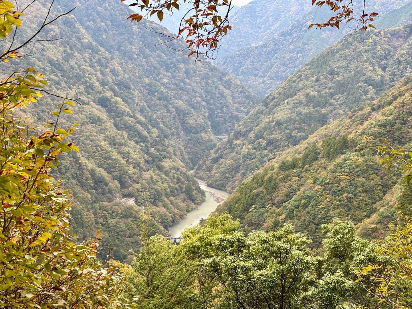 帰りに上から夢の吊り橋😃
ちと水が濁り気味なのが残念💦
それでも久しぶりに味わった深山特有の雰囲気にとても癒されました✨