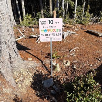 まずは最初のポイント