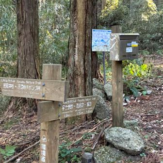 残りは車道歩き