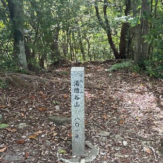 湯槽谷山登頂。
801m。
眺望なし、ベンチ無し。