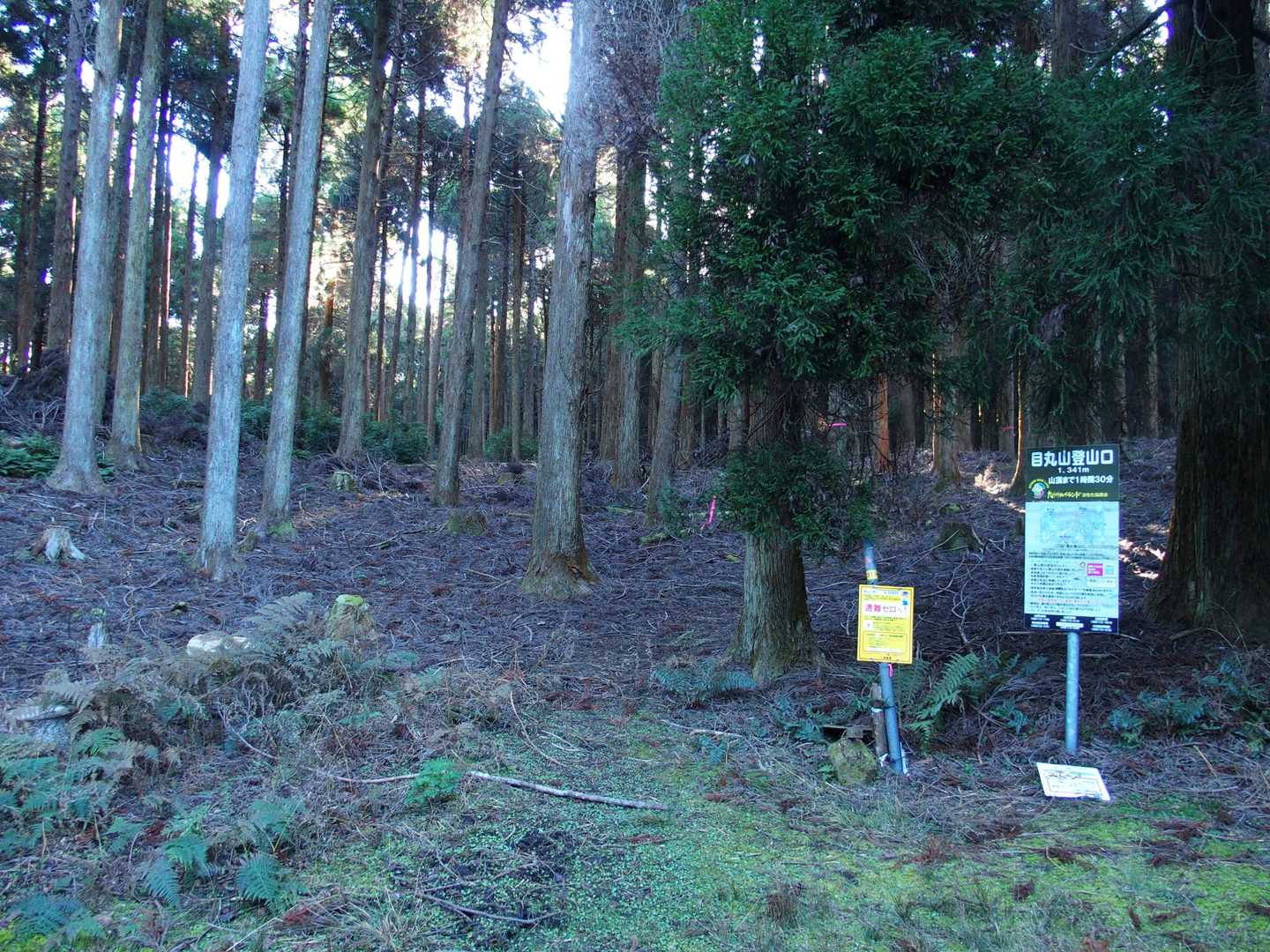 青石の目丸山登山口、うふふ…ここまでもせっまい！道で、パンク💨に気を遣って…でも一番乗りやん😁
てか、平日やし時期遅れ感あるし…もしかして…寂寥？アハハ🤣