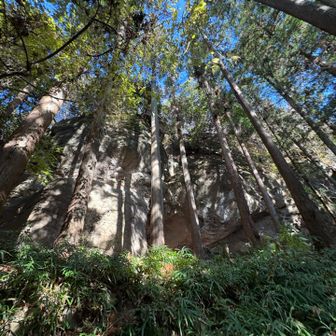 巨石。
というか場にそぐわない程デカイ岩山🙌