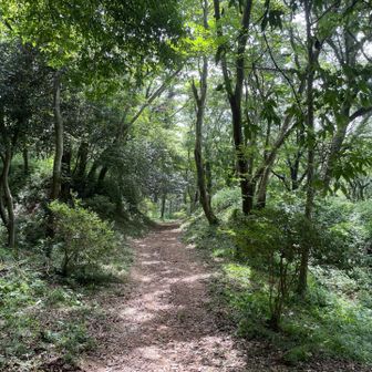下りはご褒美。