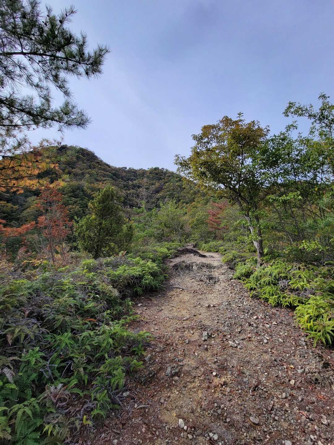 黒木山 周回コースの写真