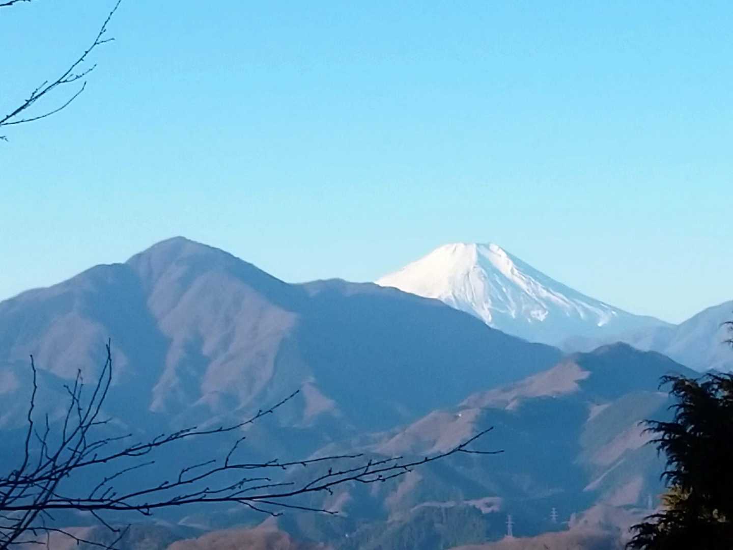 蛭ヶ岳と富士