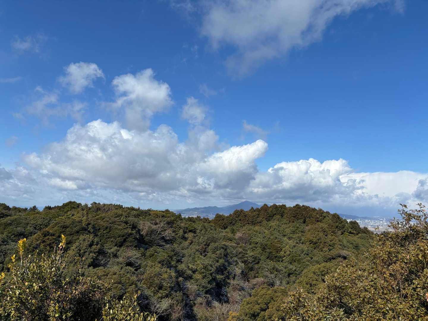 雁回山 往復コースの写真