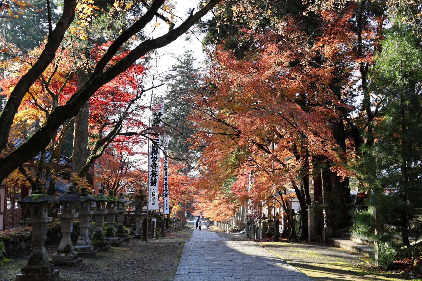 振り返って逆光の紅葉が美しいことに気づく。
