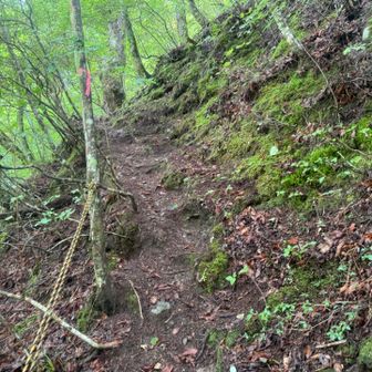 出だし急登
下山からのこれはキッツイ