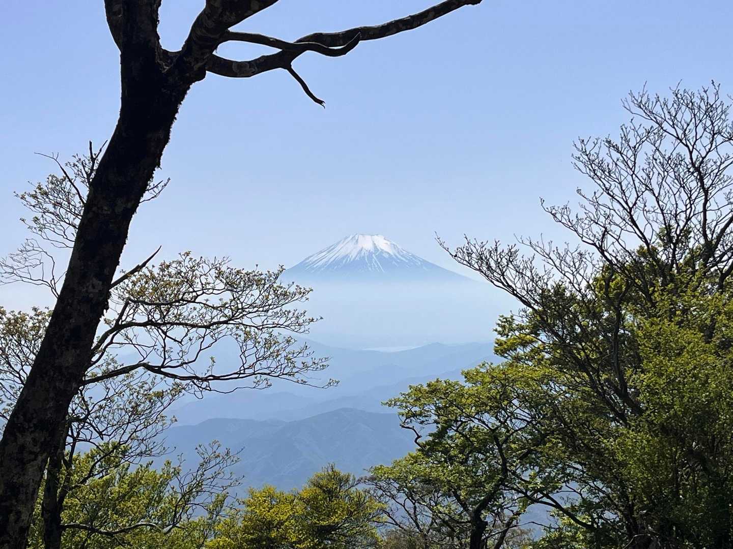 富士山を眺めながら山頂でしばし休憩。
後は降りるだけと思っていましたが、疲れた足で段差の大きいザレたツツジ新道は全然ペースが上がらず…