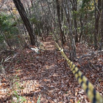 トラロープたすかる
下りすべります