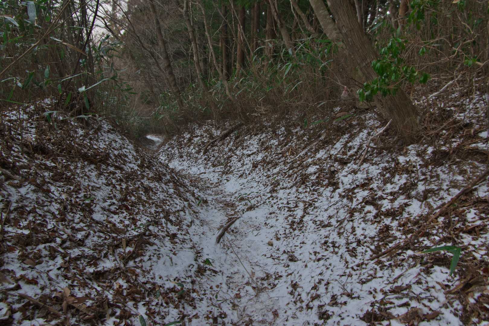 下山時コケました😭