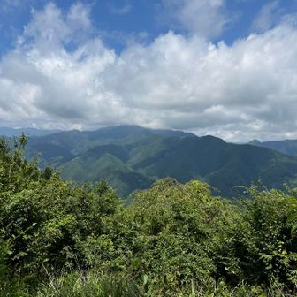 からの景色