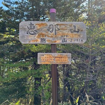 ようやく山頂
