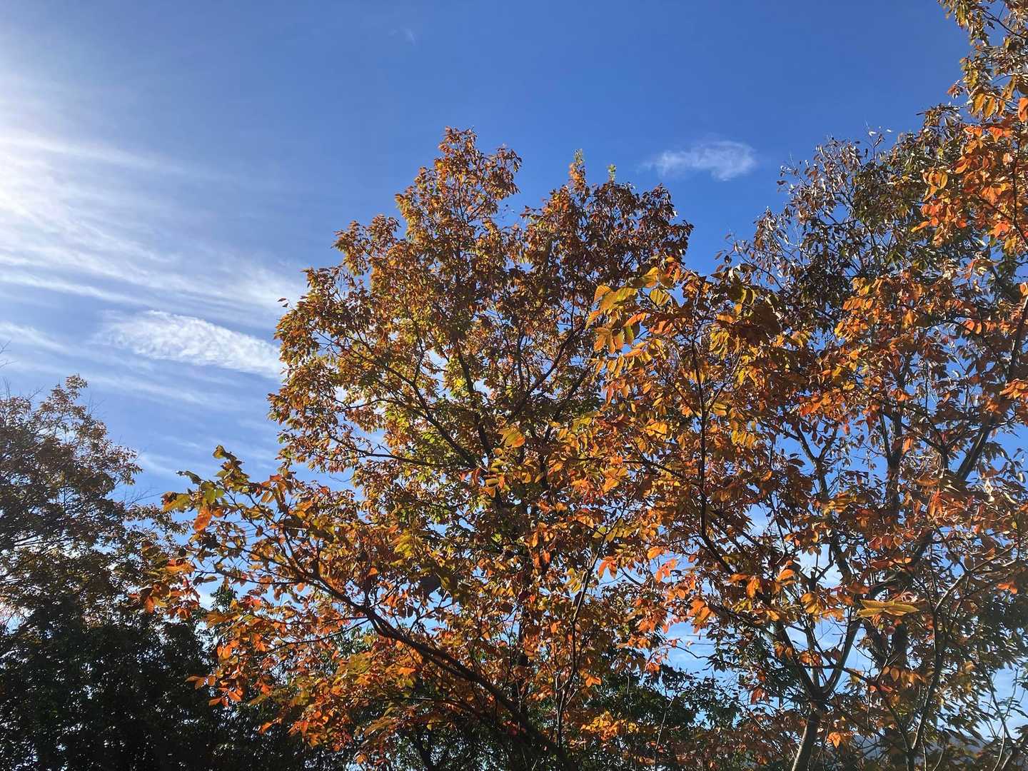 いい天気で、あったかいです☀️