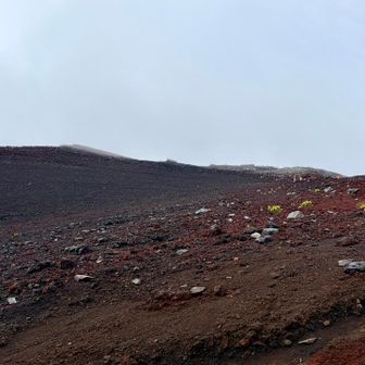 遠くに山頂が❗️