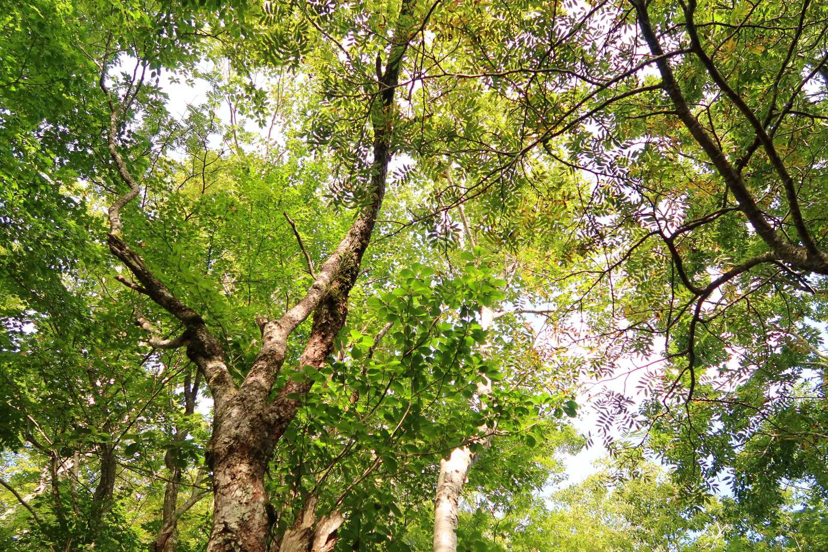 チュンチュンおはようございます♬*゜
めっさ寒い朝です🐦️