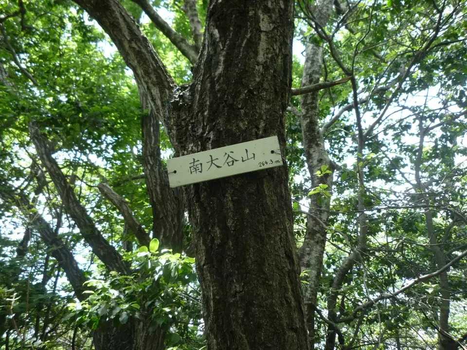 南大谷山の写真