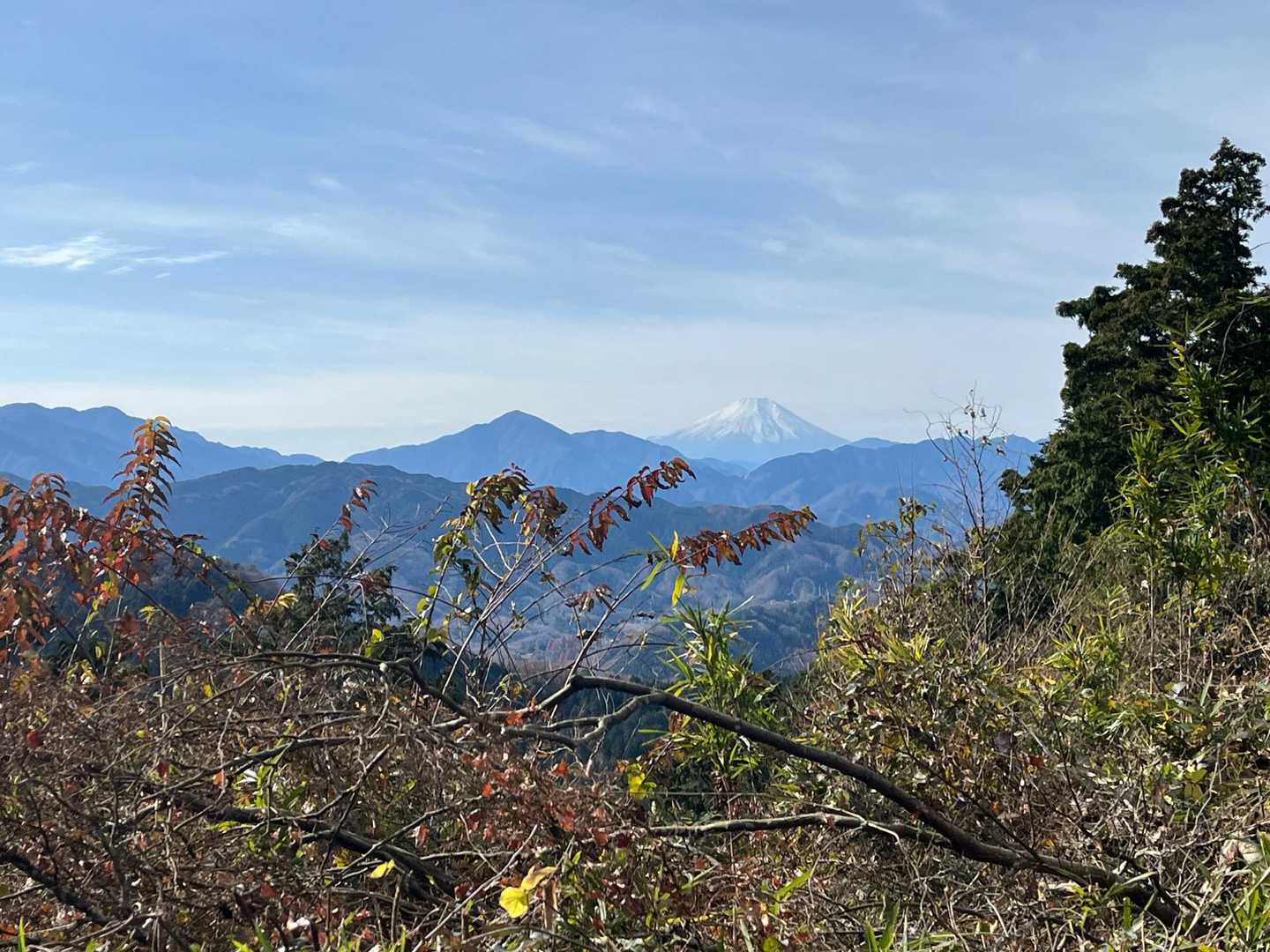 もみじ平からの富士山✨