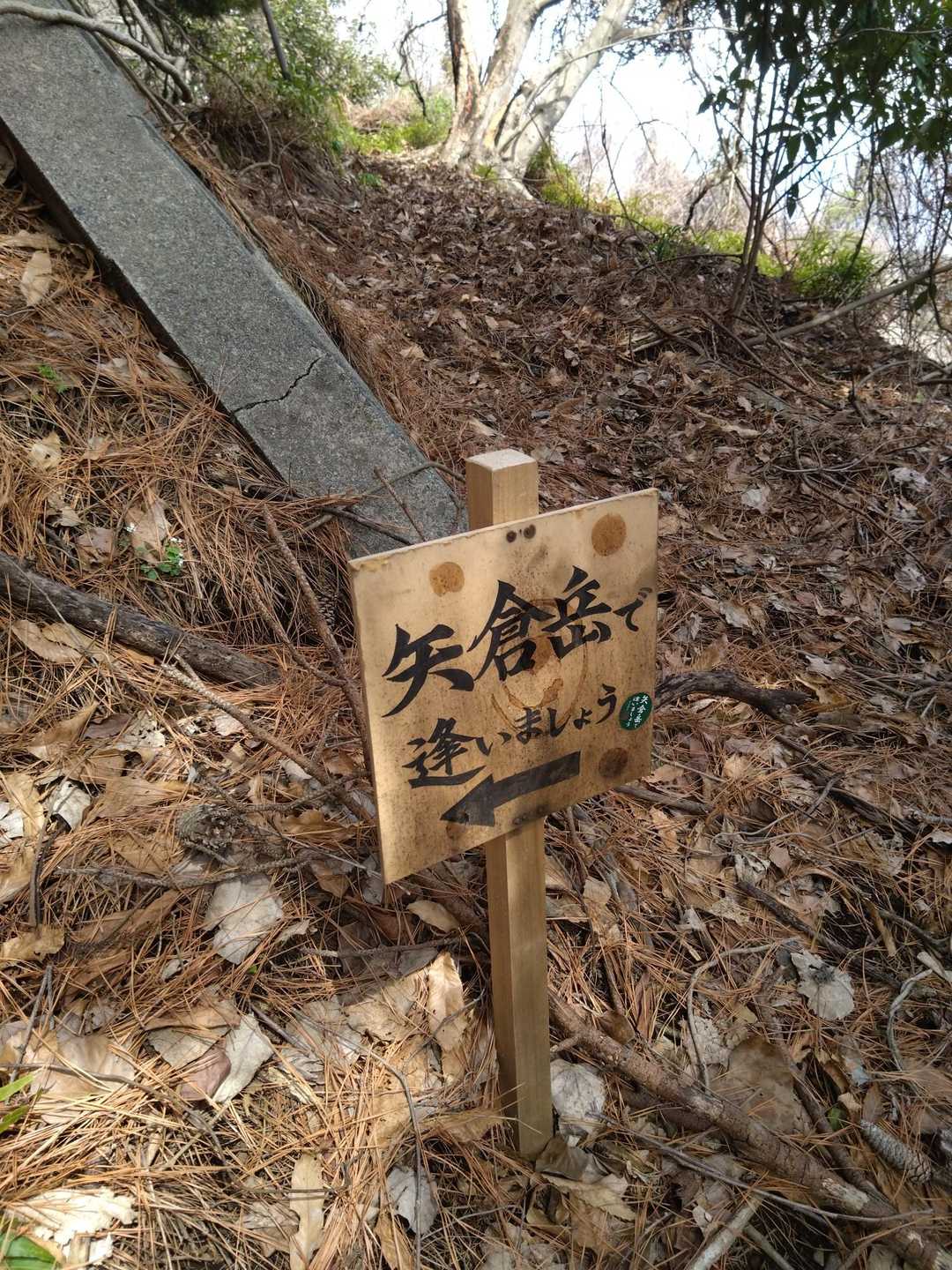 矢倉沢バス停-矢倉沢登山口-矢倉岳-清水越-地蔵堂バス停 縦走コースの写真