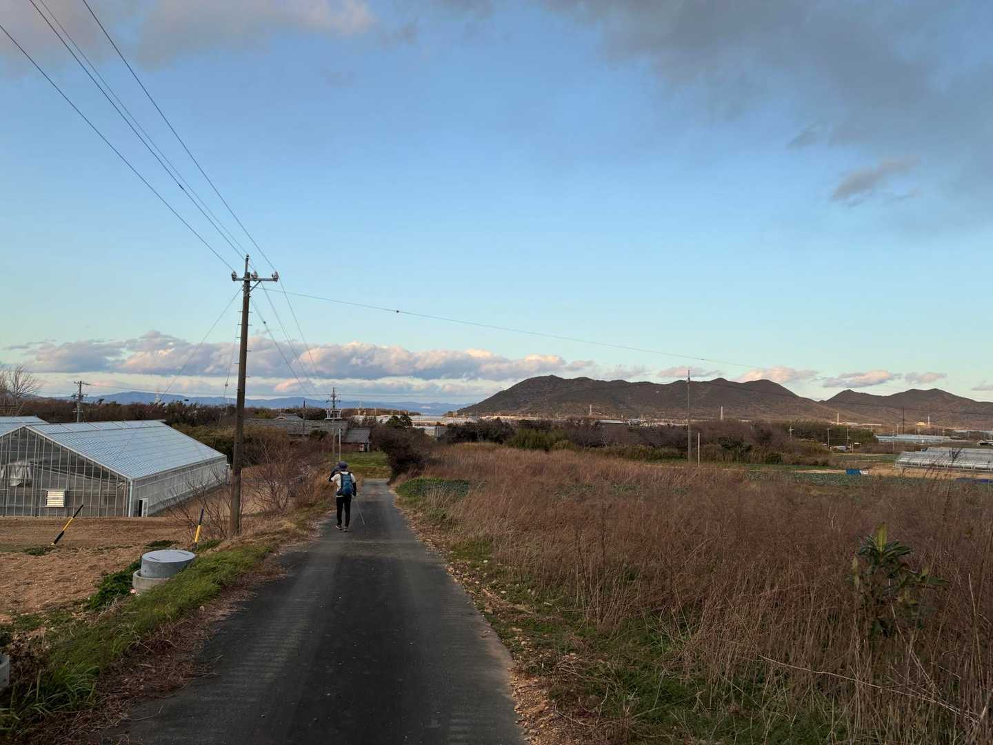 雨乞山 往復コースの写真