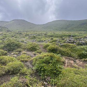 小屋が見えました、右手稜線を歩いて、東峰からくるっと周回コース。すごく素敵でした。
ここをミヤマキリシマの時に歩きたい〜って思いました