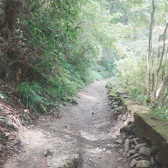 登山道