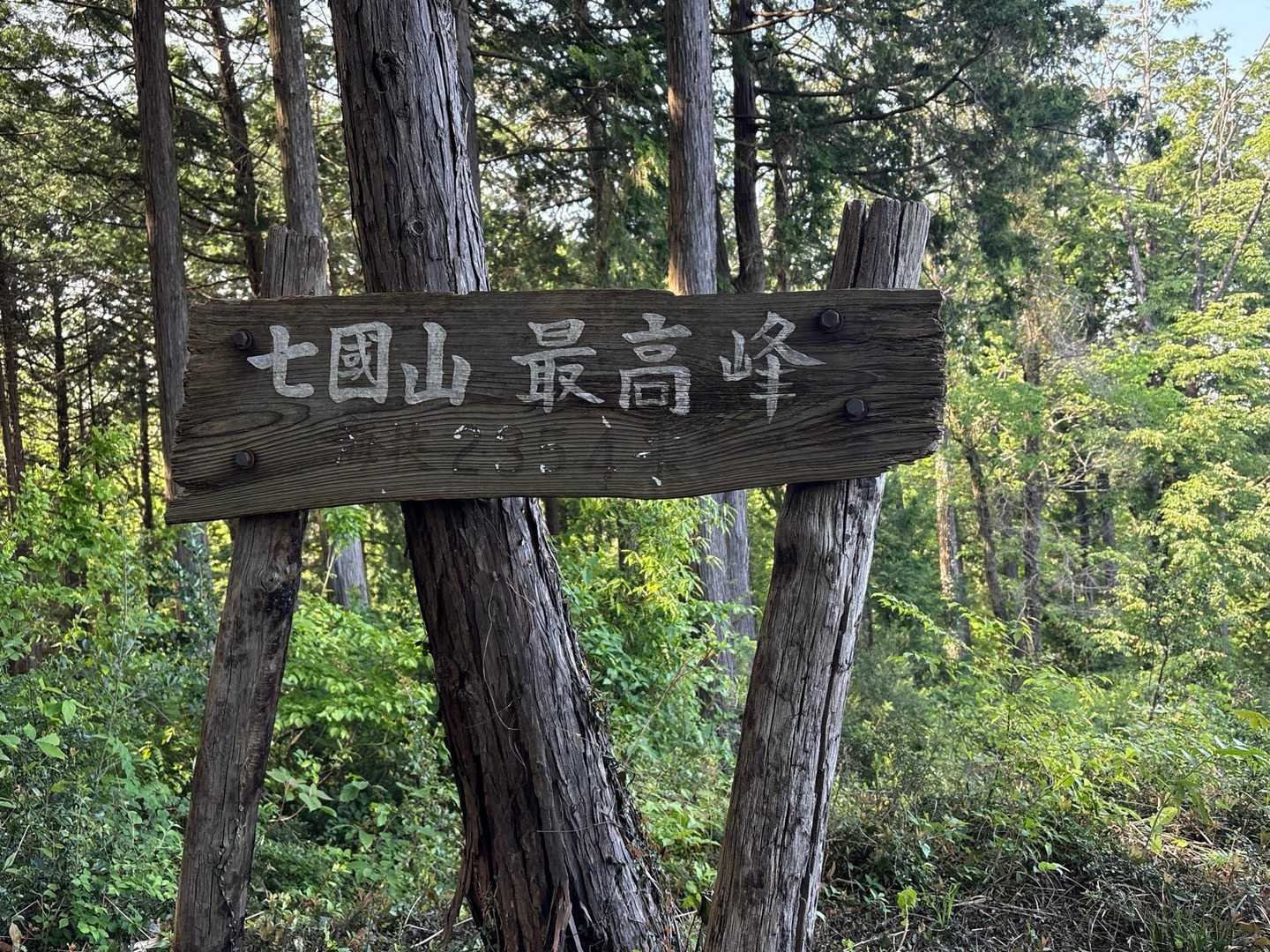 七国山　最高峰😁