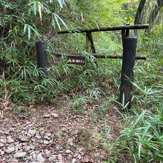 柵を乗り越えて杣谷渡渉してハチノス谷に進む