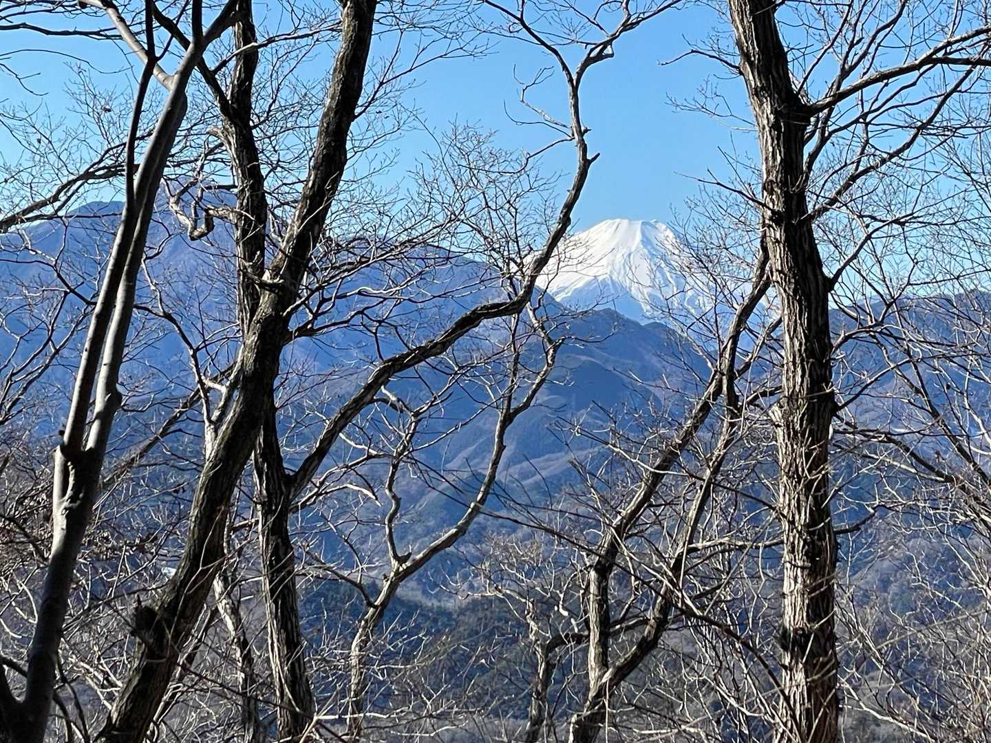 左手に富士山を眺めながら下山
