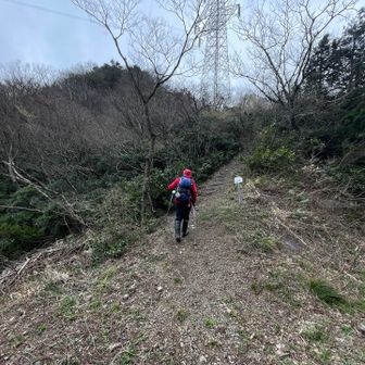 YAMAPの通り行くと