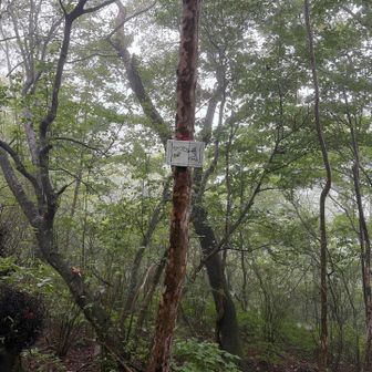 つつじヶ峰に立ち寄り