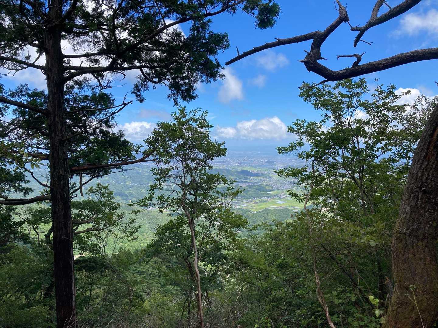 中津峰山-多家良山 周回コースの写真