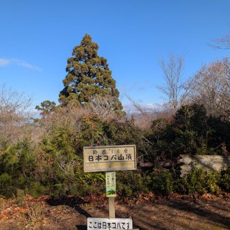 背景には白山が見える。
展望が悪いのは知ってたから大丈夫。