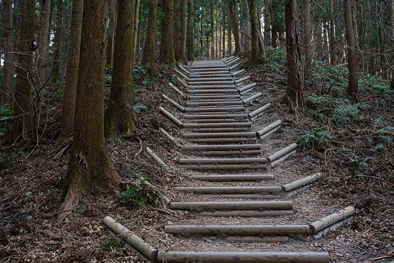 最後の方、階段多い