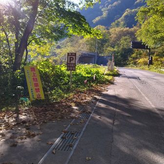 こちらへ止めました。