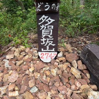 多賀坂山到着