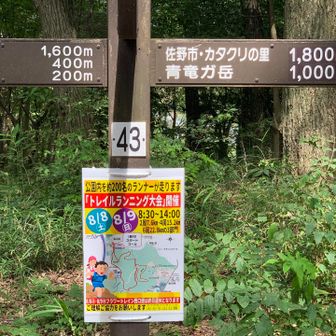 本日トレランのレースを開催している😀
この後、続々と選手がやって来た。
『ナイスラン❗️』『頑張って❗️』の声を掛けながら、スライドしました。私は70名ほどスライドしたかな。