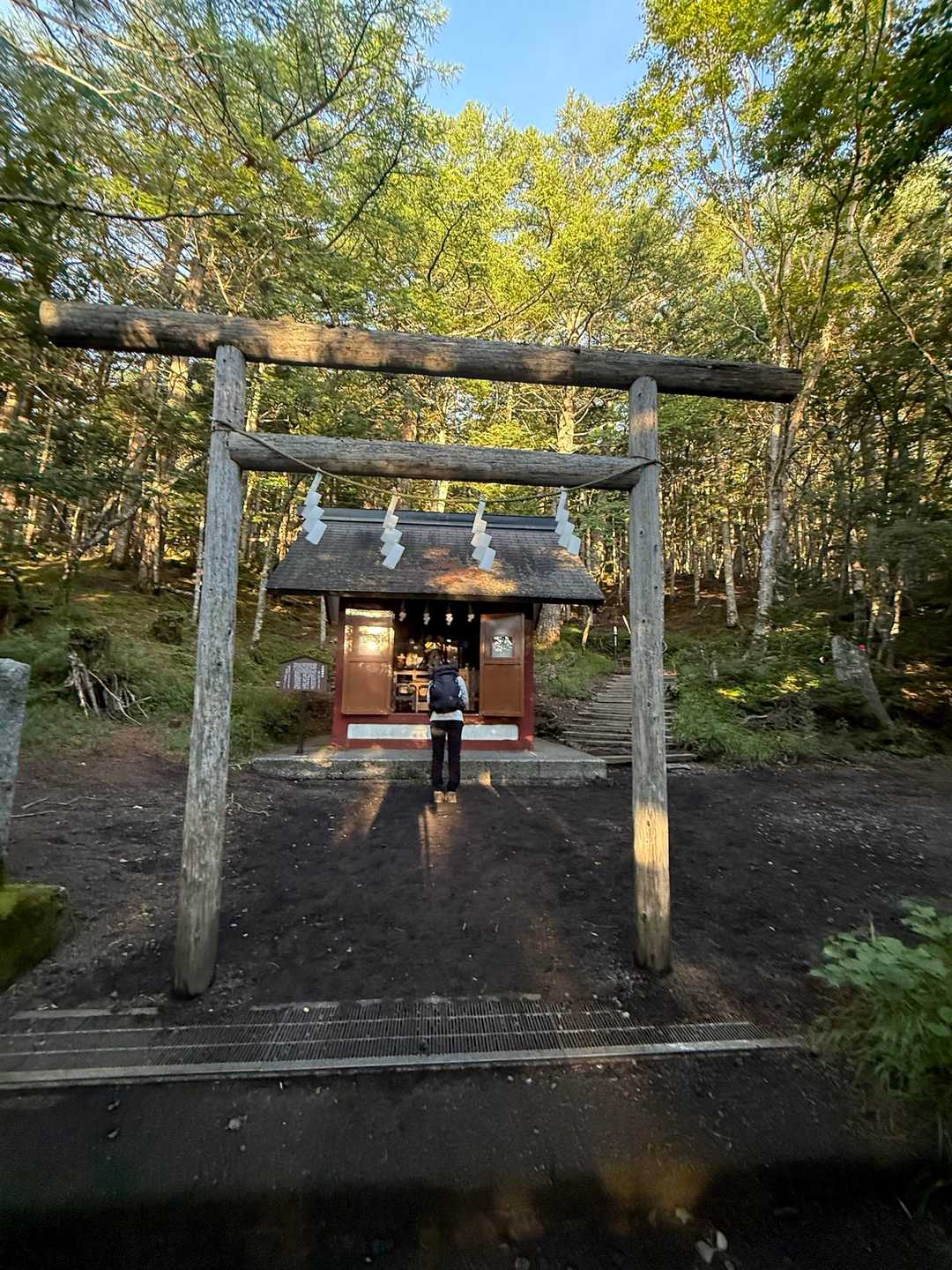 少し歩くと神社がありました⛩️