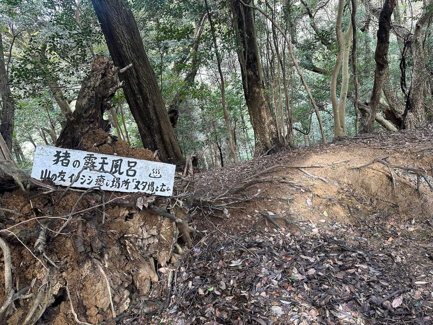 人も猪も♨️が好きね🤍